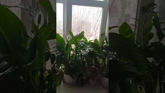 11 апреля 2024 г.