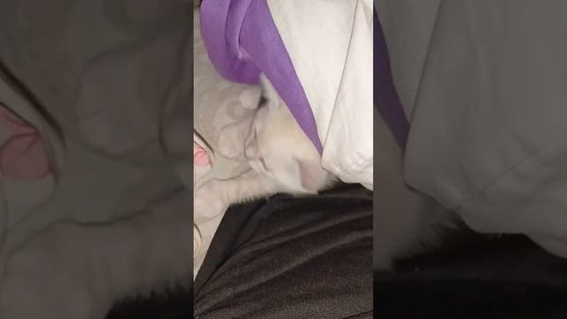 6 декабря 2023 г.