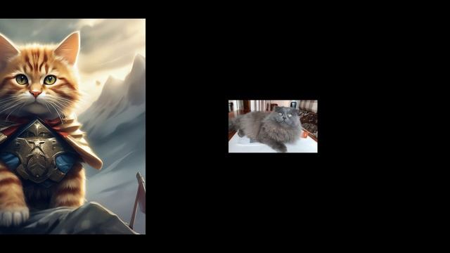 Шеба приходит в полночь