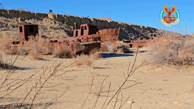 Обзорная Муйнак