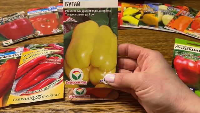 ЭТОТ ПЕРЕЦ ТОЧНО НУЖНО САЖАТЬ! Очень урожайный  толстостенный, вкусный! Сезон 2022г