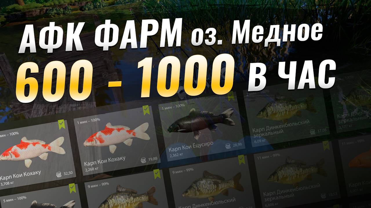 Имбовый ФАРМ СЕРЕБРА на Медном ● Русская Рыбалка 4