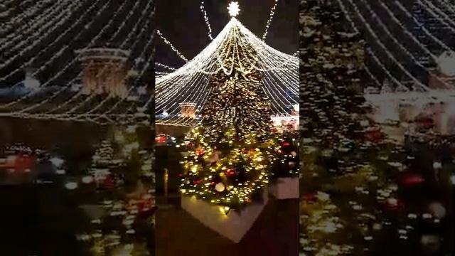 Петровский  Путёвой Дворец. Путешествие  в Рождество 🎄.