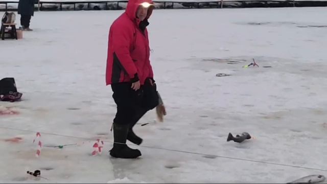 Запуск и поимки ВИП 10.01.25