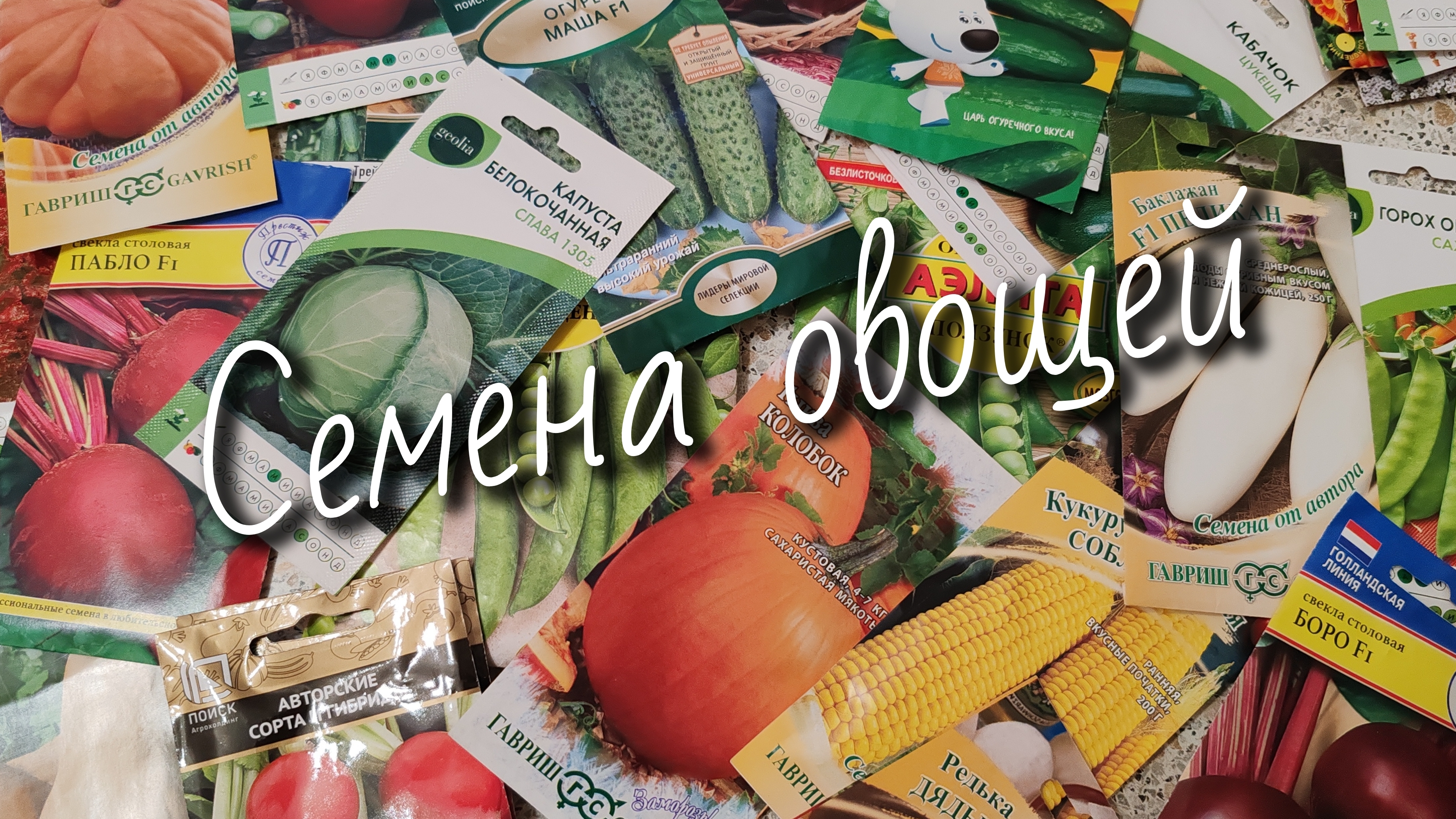 Начинаю перебирать семена.