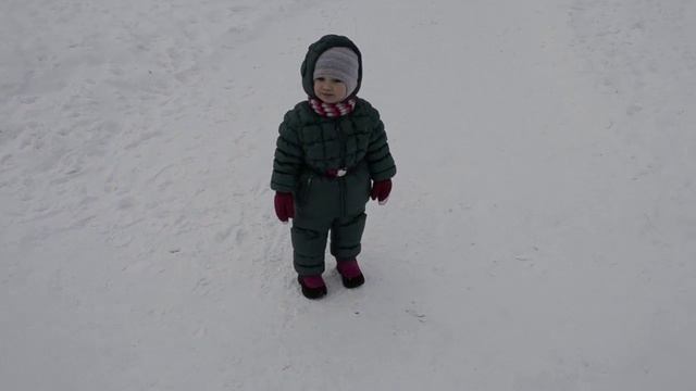 2011.01.03. И с горы хорошо прокатиться.