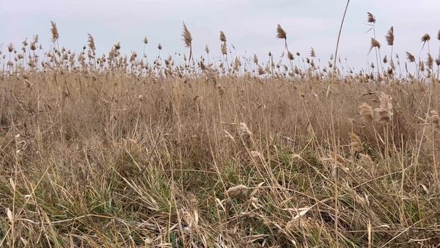 Коротко о новогодних выходных…