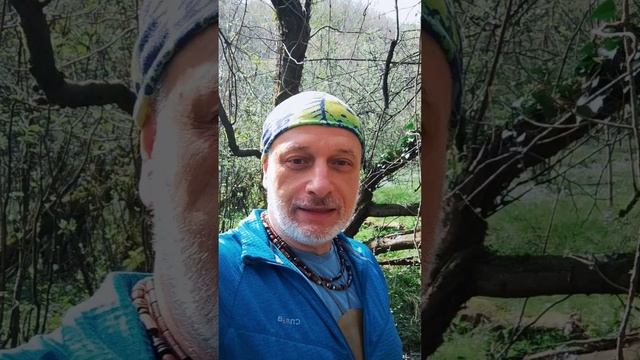 на сколько вы готовы к соединению с родом?