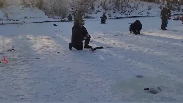 Уха и немного поимок с водоёма !