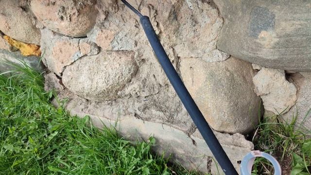 Поколение дебилоидов