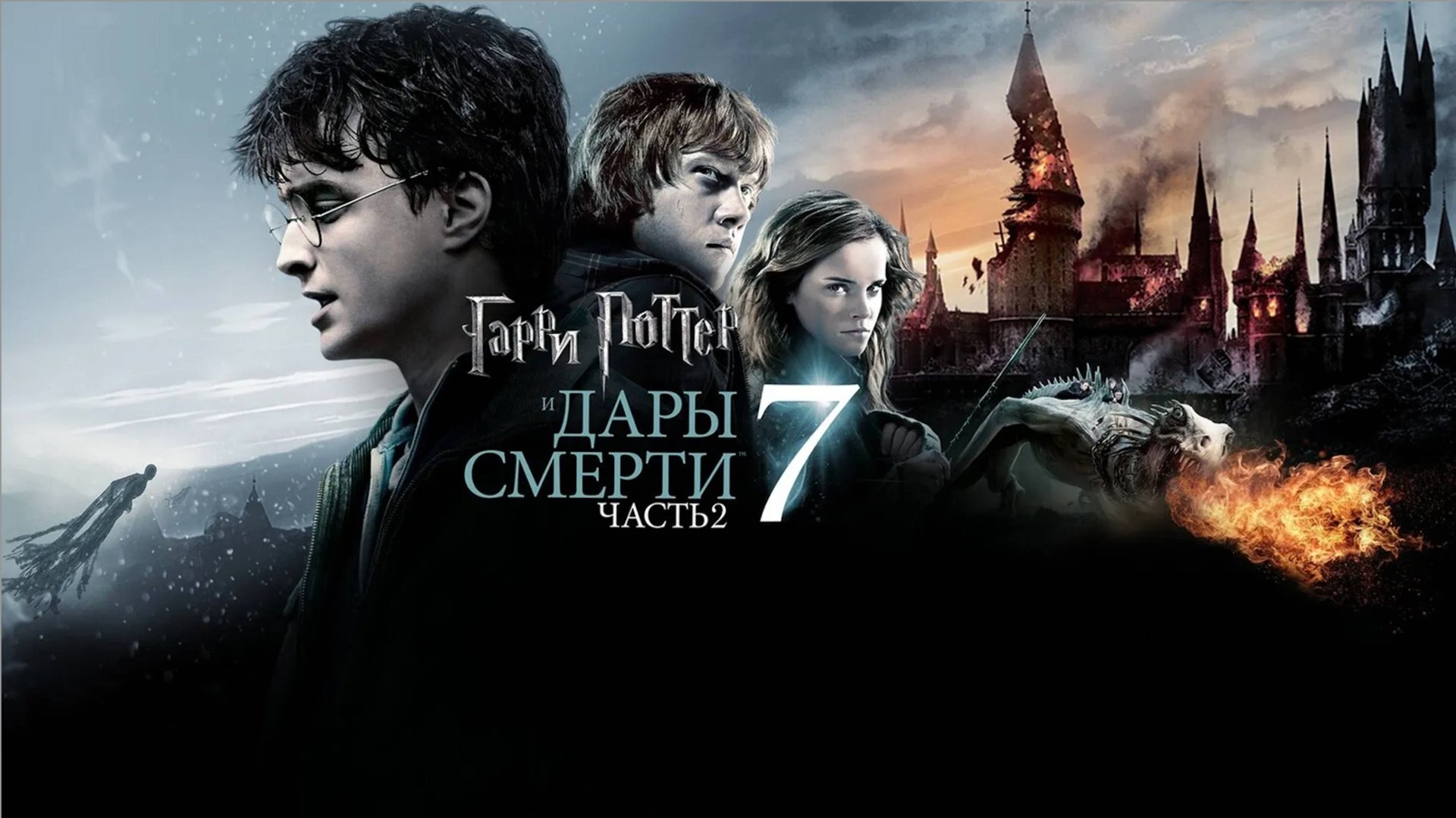 Гарри Поттер и Дары Смерти: Часть 2 / Harry Potter and the Deathly Hallows: Part 2 (2011)