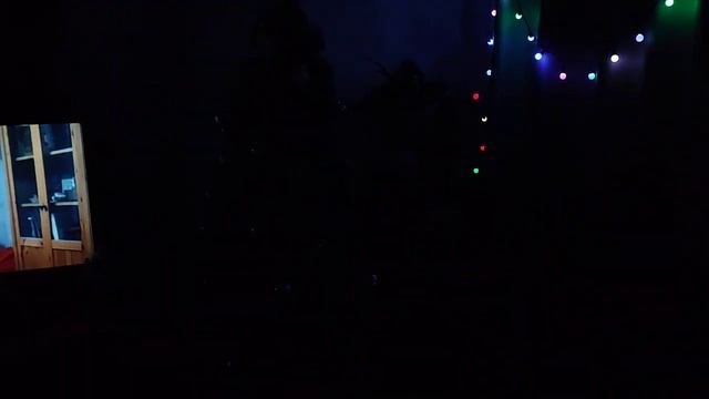 Алиса и новогодняя ёлка 2024