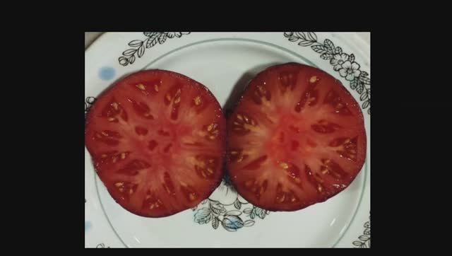 Каталог томатов 2024 года. Часть 11. Проверенные сорта. г. Киров