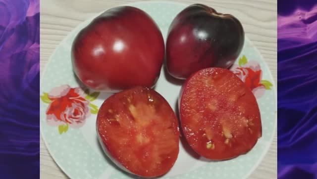 Томаты - НОВИНКИ сезона 2024 г. Каталог томатов. Часть 5.