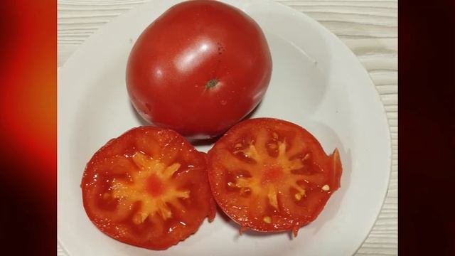 Томаты - НОВИНКИ  сезон 2024 года. Каталог томатов 2024 г. Часть 4. г. Киров