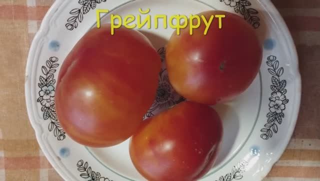 ТОМАТЫ. КАТАЛОГ  томатов на 2025 год. Проверенные сорта.  г. Киров