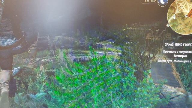 Ведьмак 3. Заказ: Лихо у колодца 1 часть.