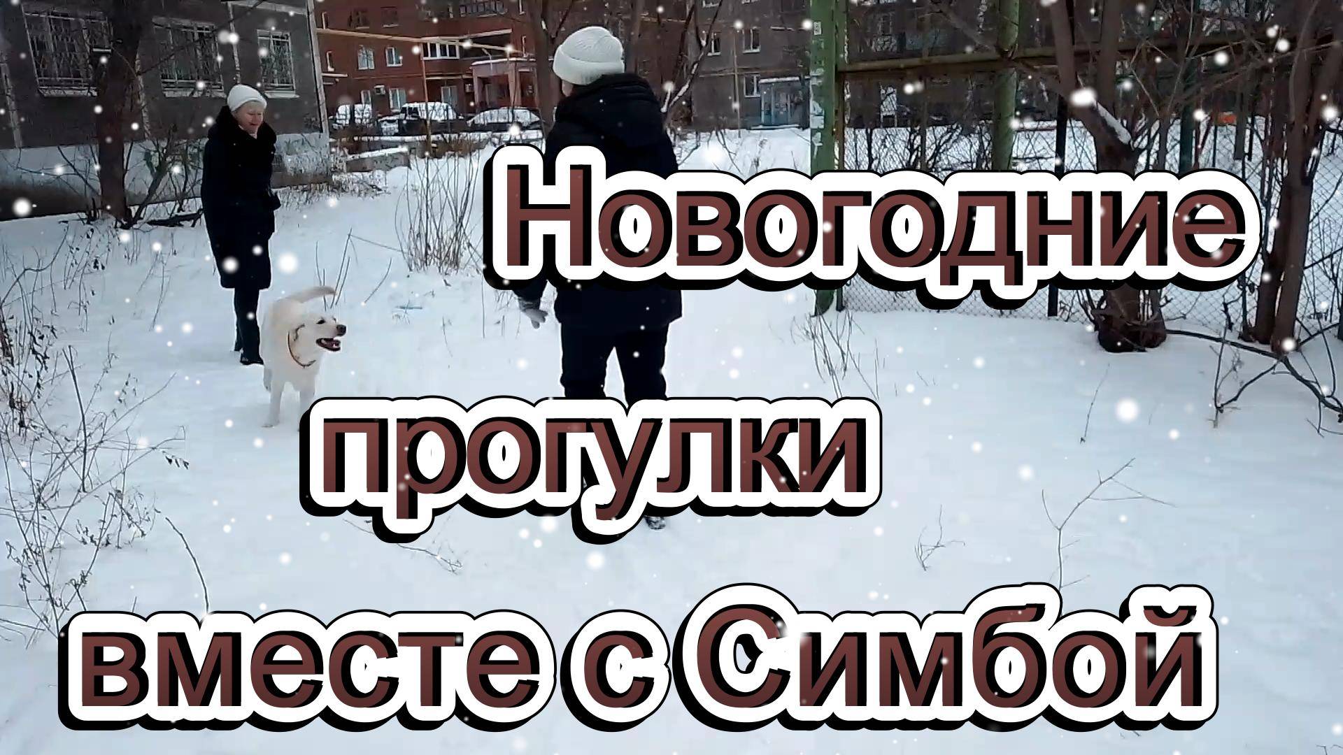Новогодние прогулки вместе с Симбой. Заключительная часть.