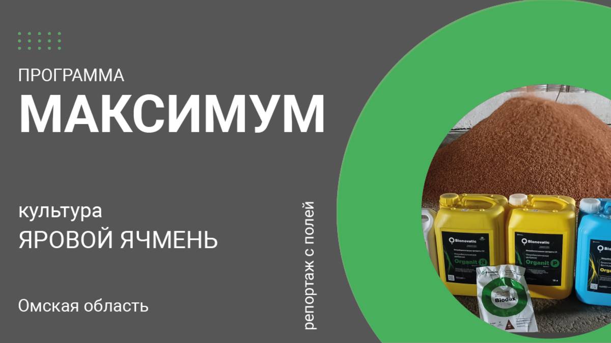 Репортаж с полей. Программа «Максимум» на ячмене в Омской области