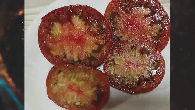 Гномы томатные. Каталог 2024 года и обзор томатных гномов. г. Киров