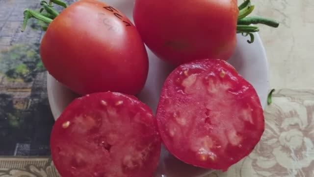 Каталог томатов 2024 г. Часть 8. Проверенные сорта.  г. Киров