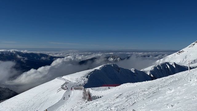 Путешествие. 15-01-2025. РОЗА ПИК. Горы. Солнце. Красная Поляна. Высота 2320.