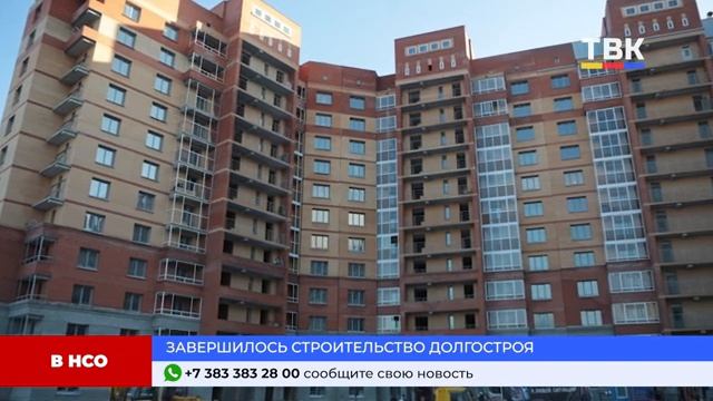 Программа "Дайджест" 16.01.25