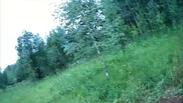 Лето в Деревне - Что Растёт на Грядках - 2018