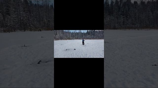 рыбалка на жерлицы