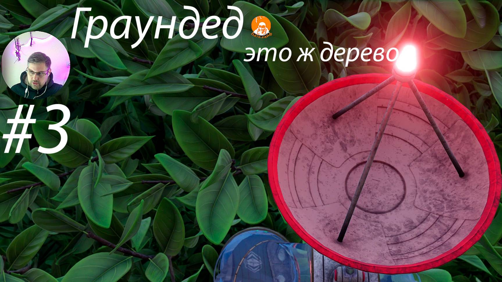 Grounded ▶ Запутанная изгородь # 3