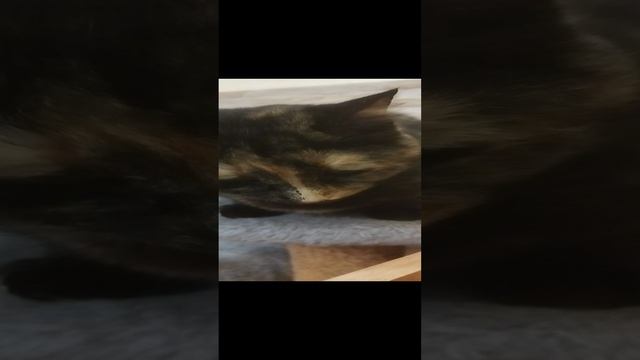 Босс! Сборка тумбы с ПОМОЩНИКАМИ !😂