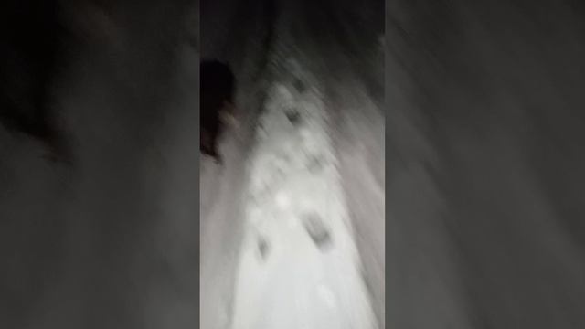 Идём по следам)