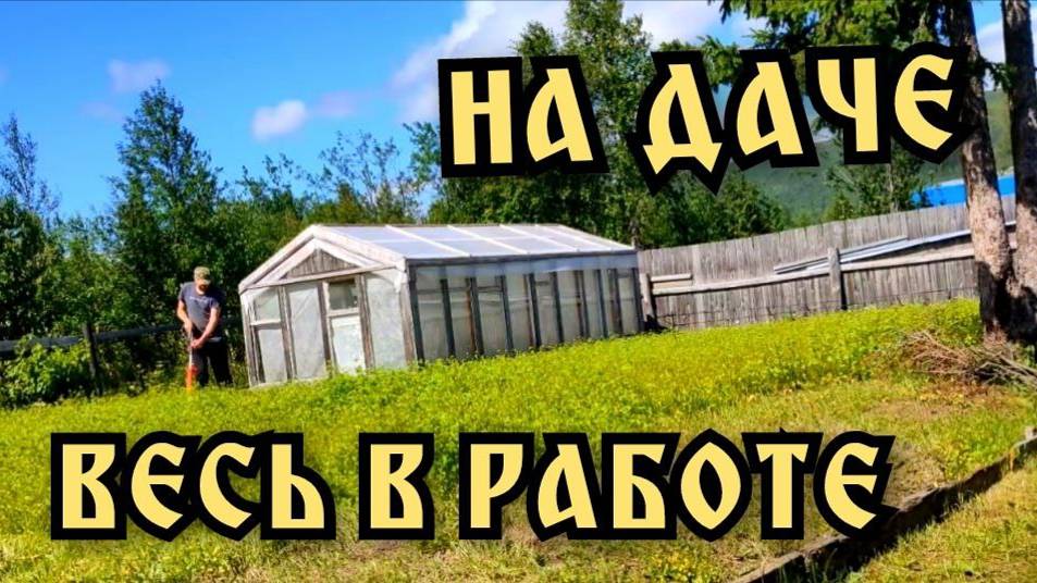 Много дел на даче. Покупки.