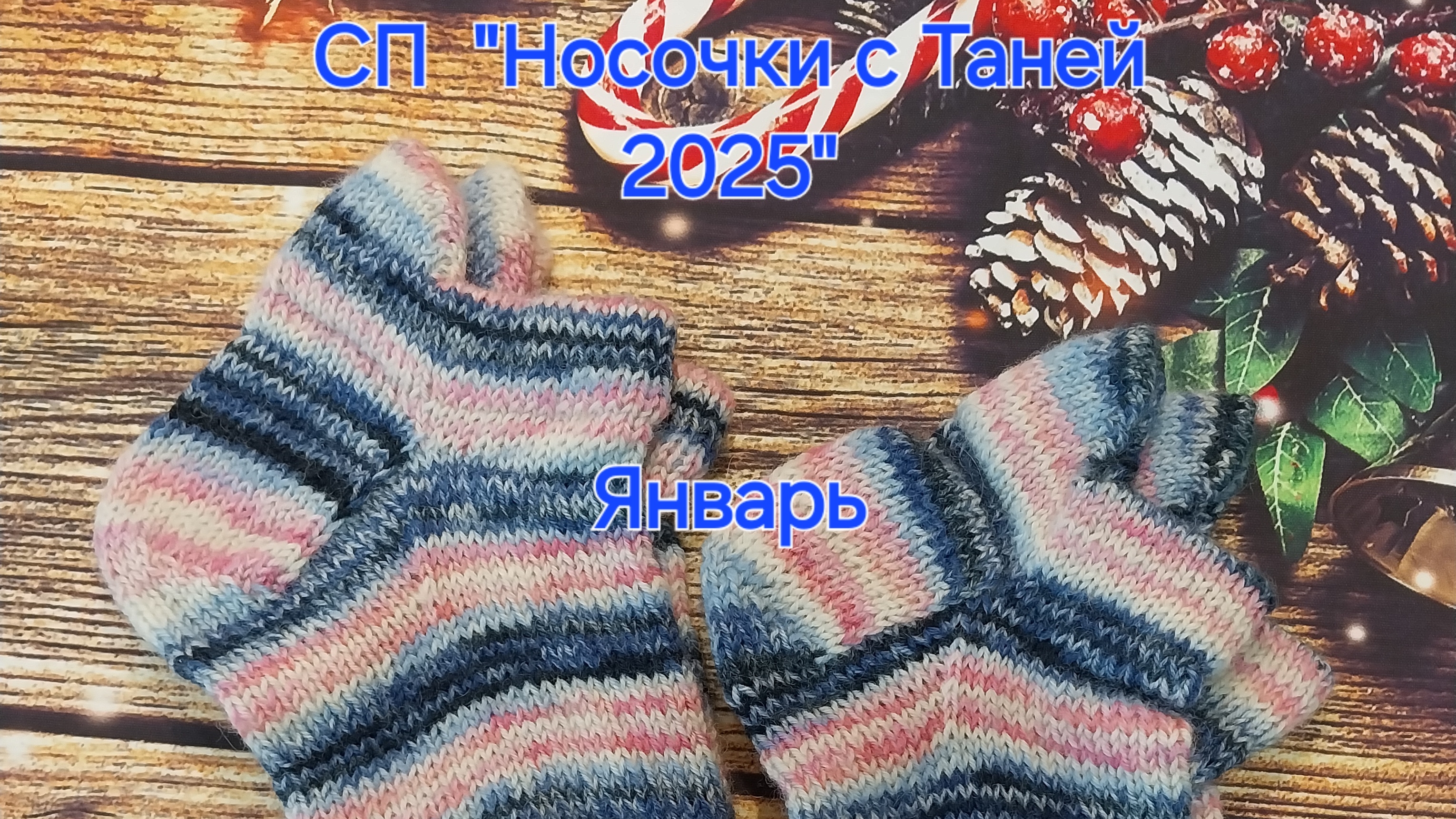 СП  "Носочки с Таней 2025" Отчёт за январь, участник 10