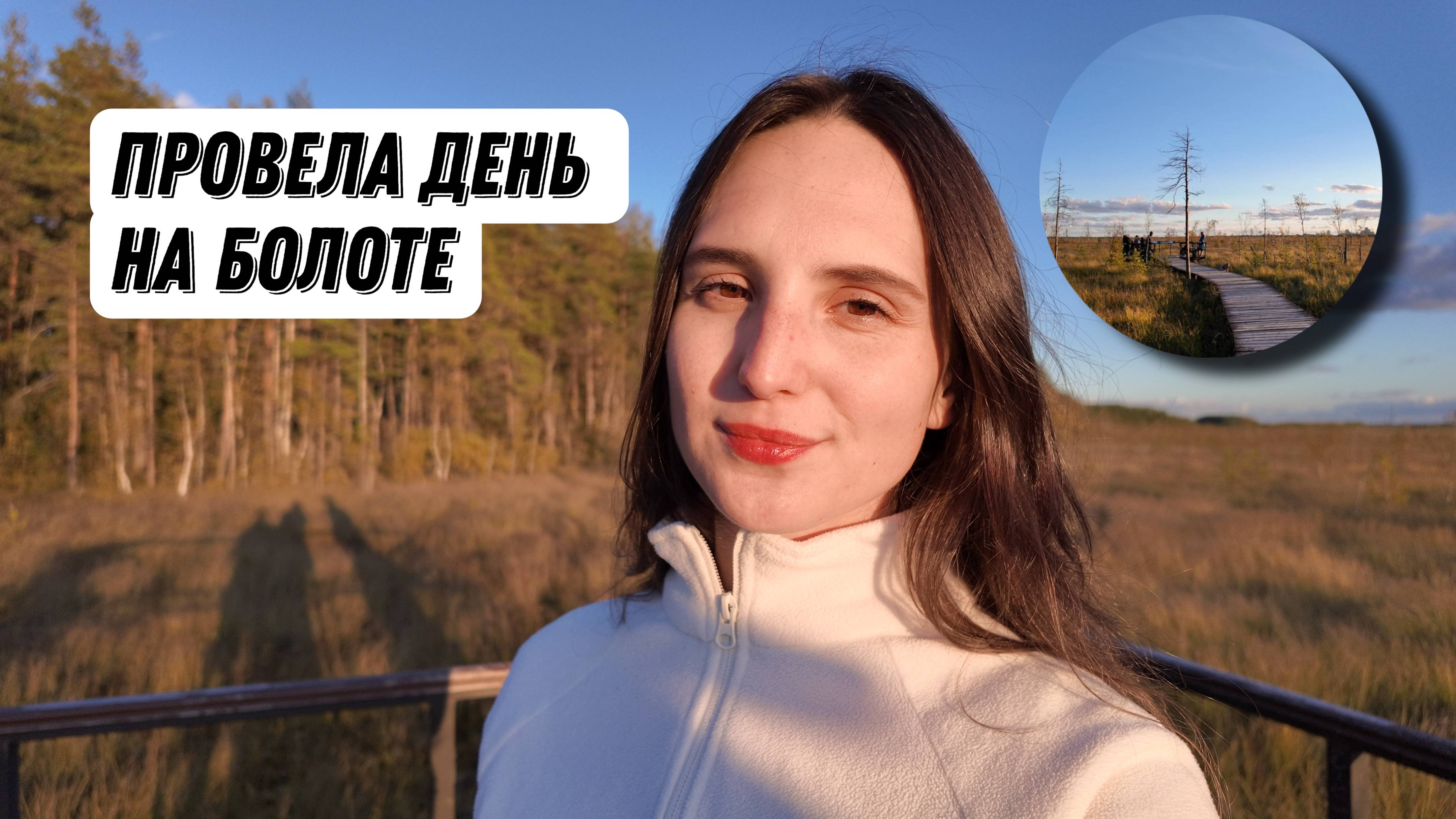 Экотропа. Сестрорецкое болото . Растения на болоте. Вид болота.