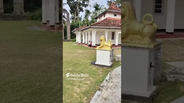 Шри Ланка. 06.01.2025. Юлечка посещает буддийский храм будуругавала раджа маха