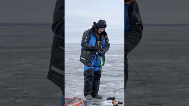 Первый судак сезона!