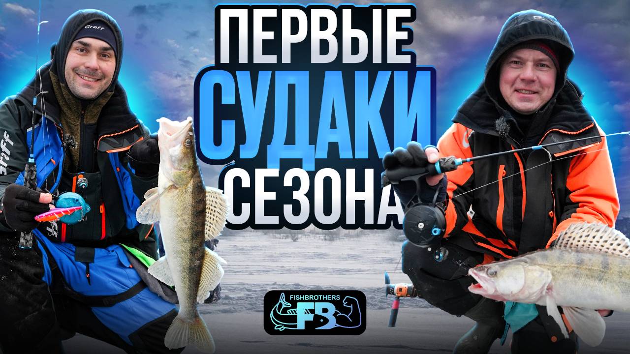 Первые судаки зимнего сезона!