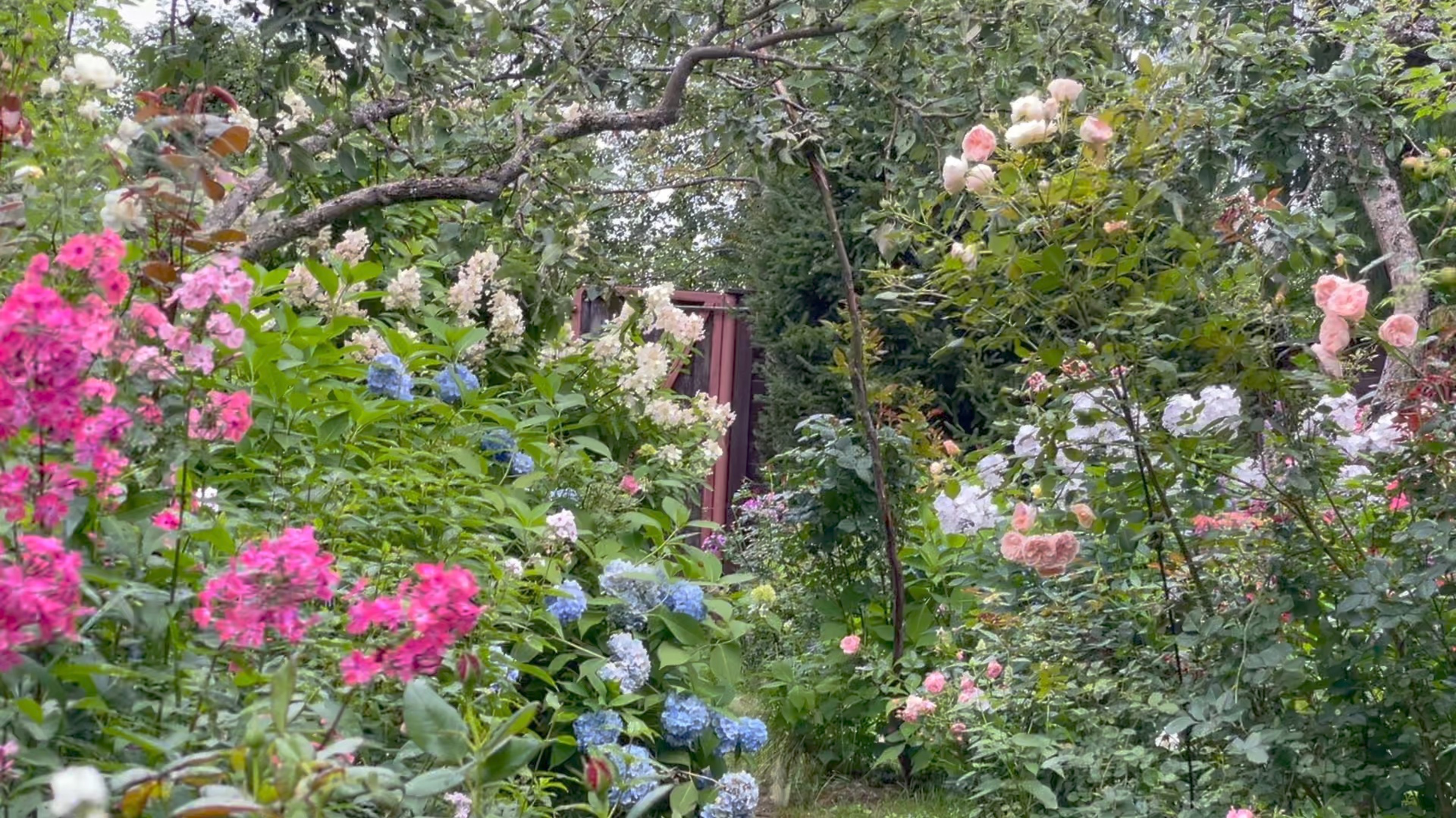 Август в Саду 28 августа 2023 часть 6