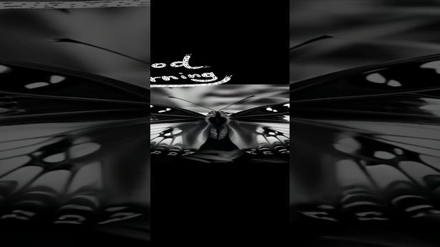 Доброе утро! С началом недели!