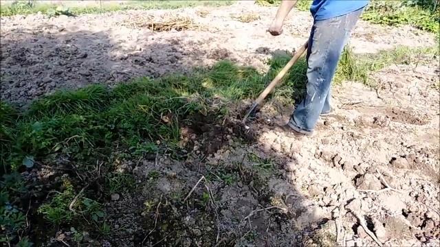 ЭТО НУЖНО СДЕЛАТЬ КАЖДОМУ ДАЧНИКУ. БЕРЕГИТЕ СПИНУ! Доработка вил или лопат при больной спине.