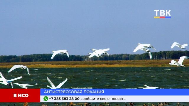 Программа "Дайджест" 20.01.2025