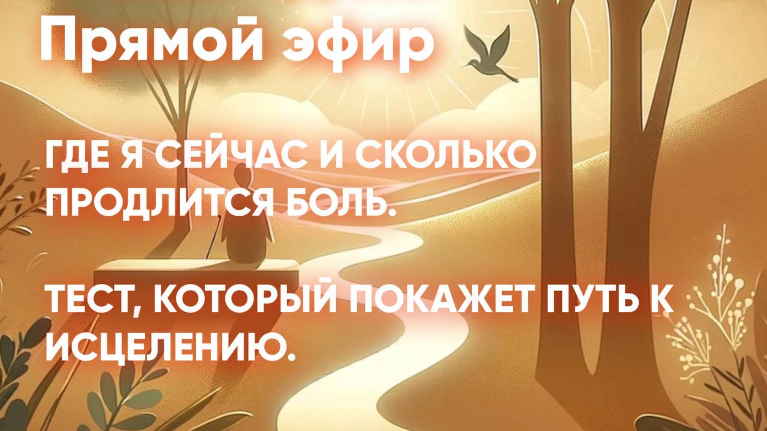 Запись эфира 19 января 2025