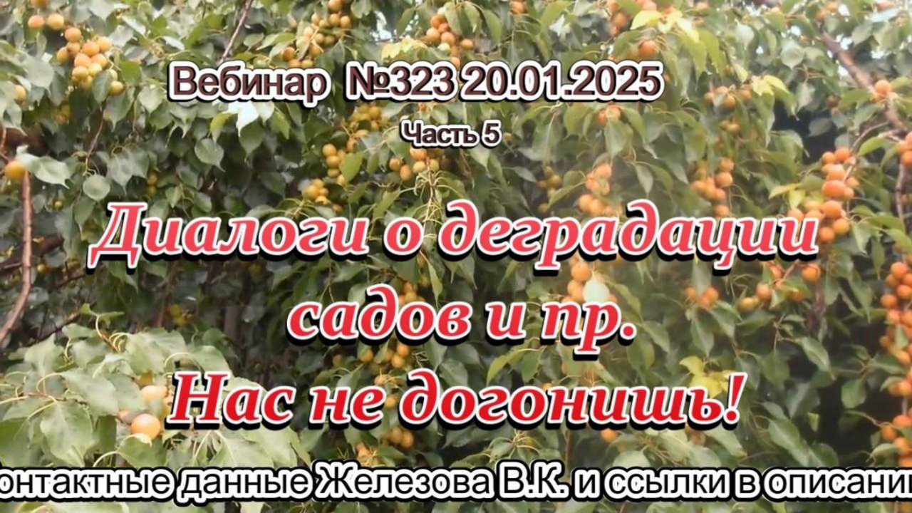Железов Валерий. Вебинар 323. ч.5. Диалоги о деградации  садов и пр. Нас не догонишь!