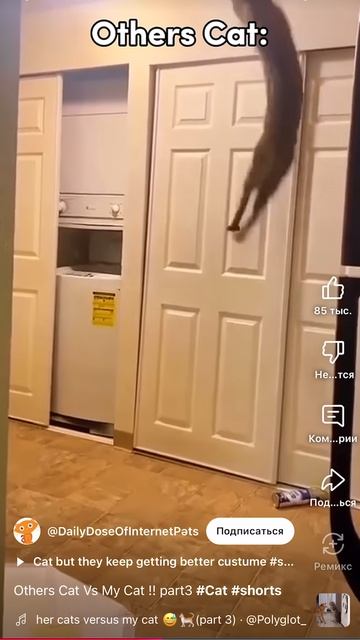 RPReplay_Final1737398766