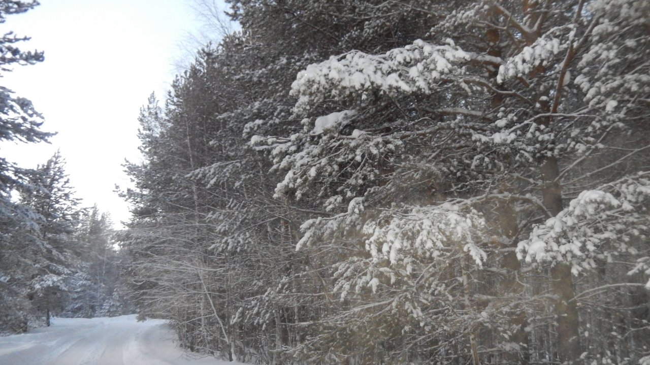Послушайте красивую песню.. Исп. Иракли - Ты одна из семи миллиардов людей..