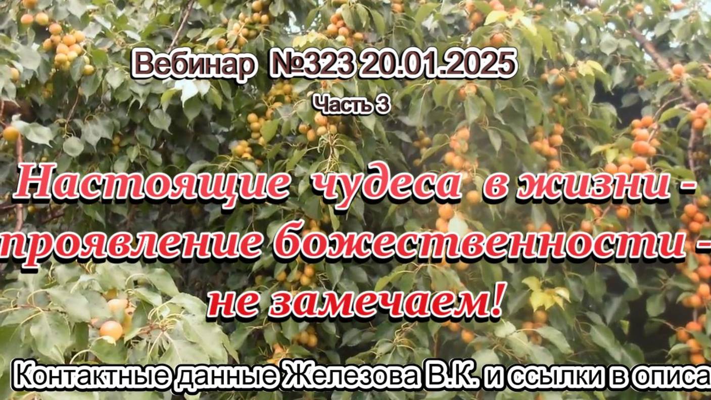 Железов Валерий. Вебинар 323. ч.3. Настоящие  чудеса  в жизни- проявление божественности - не замеча