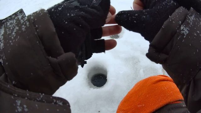 О чём молчат  Рыбаки. Рыбалка на Платву Леща и Окуня. Лобва.