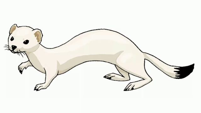 Белый хорëк _нивхские сказки_