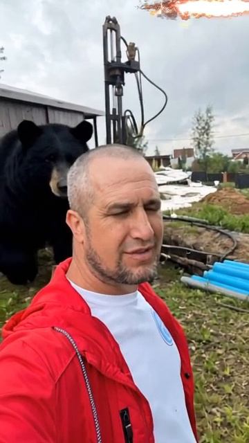 Такого не ожидали, бурового поймали